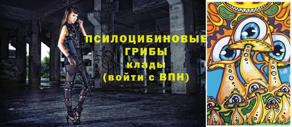 крисы Протвино