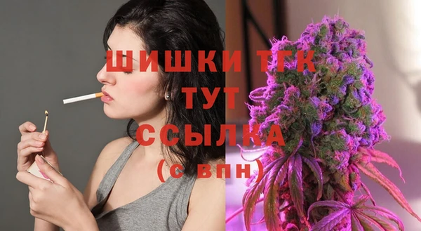 стаф Белокуриха