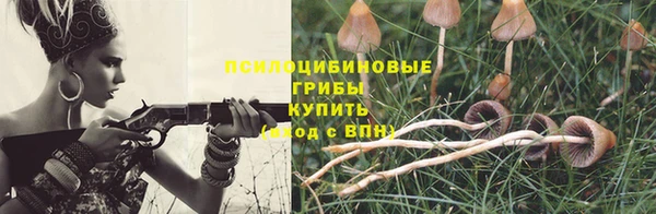 крисы Протвино