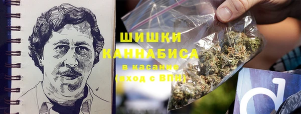 сатива Приозерск