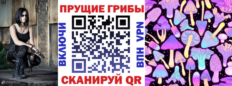 закладки  Новая Усмань  Галлюциногенные грибы Psilocybine cubensis 